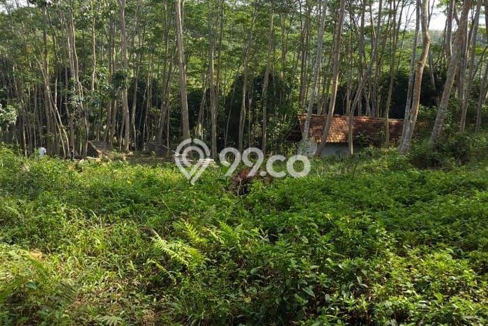 Dijual Tanah Kawasan Cimerak, Luas 5416m², Lokasi Potensial Dijual Tanah Kawasan Cimerak, Luas 5416m², Lokasi Potensial