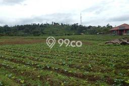Lahan Investasi Lokasi Cisarua Bandung Barat SHM Lahan Investasi Lokasi Cisarua Bandung Barat SHM