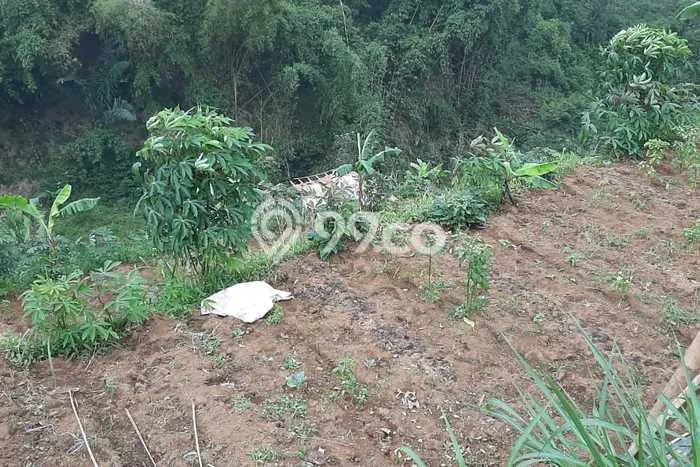 Jarang Ada! Tanah di Cisarua Punya Luas 24266m2 SHM Jarang Ada! Tanah di Cisarua Punya Luas 24266m2 SHM