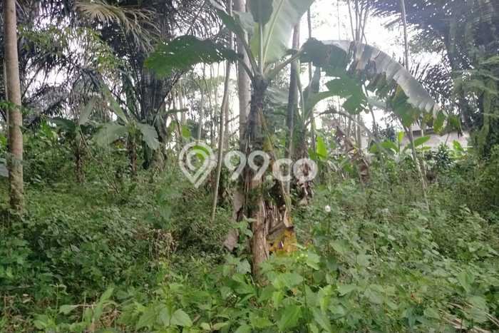Kavling Tanah di Cikakak Dijual Luas 18500m2 Legalitas SHM Kavling Tanah di Cikakak Dijual Luas 18500m2 Legalitas SHM