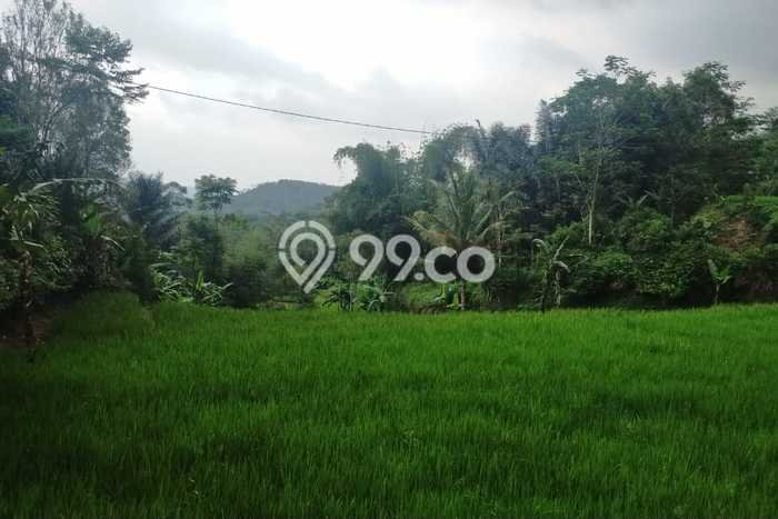 Kavling Tanah di Cikakak Dijual Luas 18500m2 Legalitas SHM Kavling Tanah di Cikakak Dijual Luas 18500m2 Legalitas SHM