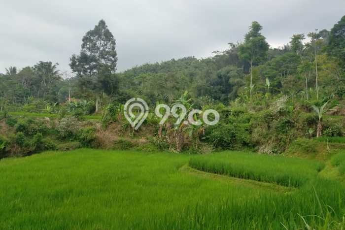 Kavling Tanah di Cikakak Dijual Luas 18500m2 Legalitas SHM Kavling Tanah di Cikakak Dijual Luas 18500m2 Legalitas SHM