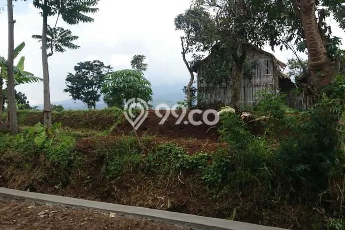 Tanah Komersial Dijual di Pangalengan Bandung 2770m2 Tanah Komersial Dijual di Pangalengan Bandung 2770m2