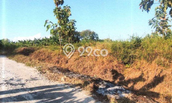 Lahan Dijual Lokasi Wiyung, Surabaya dengan Luas Tanah 1793m2 dan Status SHM Lahan Dijual Lokasi Wiyung, Surabaya dengan Luas Tanah 1793m2 dan Status SHM