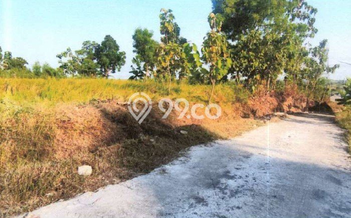 Lahan Dijual Lokasi Wiyung, Surabaya dengan Luas Tanah 1793m2 dan Status SHM Lahan Dijual Lokasi Wiyung, Surabaya dengan Luas Tanah 1793m2 dan Status SHM