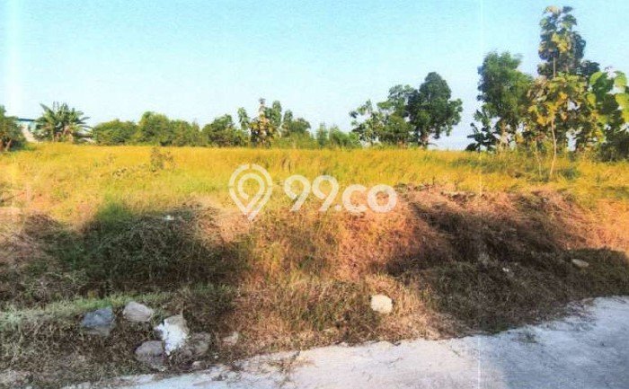 Lahan Dijual Lokasi Wiyung, Surabaya dengan Luas Tanah 1793m2 dan Status SHM Lahan Dijual Lokasi Wiyung, Surabaya dengan Luas Tanah 1793m2 dan Status SHM