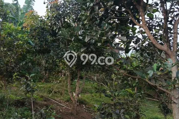 Lahan Kosong Dijual di Batu dengan Area 992m2 Lahan Kosong Dijual di Batu dengan Area 992m2