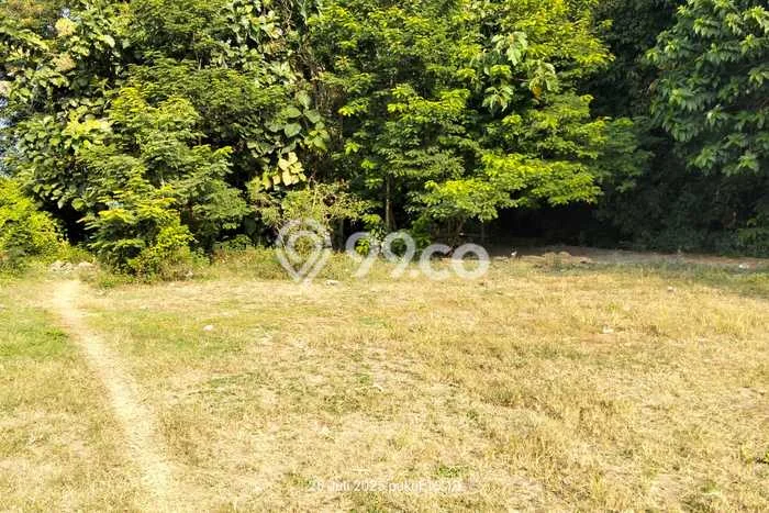 Tanah Kosong Dijual di Jember dengan Area 2617m2 Tanah Kosong Dijual di Jember dengan Area 2617m2