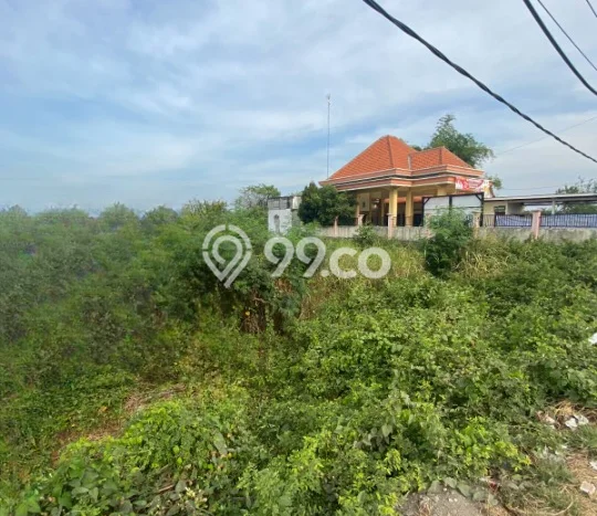 Tanah Dijual Lokasi Gresik, Gresik Luas 29000m2 Legalitas Aman Tanah Dijual Lokasi Gresik, Gresik Luas 29000m2 Legalitas Aman