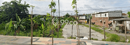 Kavling Tanah untuk Disewa di Surabaya Kota Lahan Luas 560m2 Kavling Tanah untuk Disewa di Surabaya Kota Lahan Luas 560m2