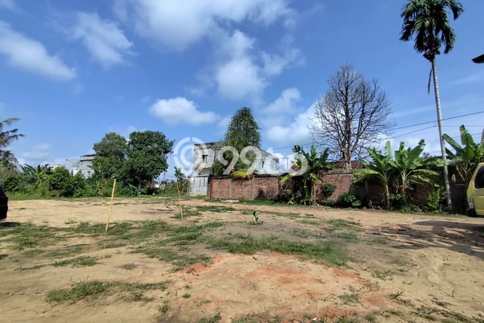 Lahan Investasi Lokasi Jambi Selatan Jambi SHM Lahan Investasi Lokasi Jambi Selatan Jambi SHM