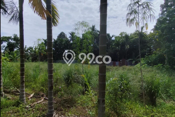 Kavling Tanah Dijual di Jambi Timur Jambi Spesifikasi 302m2 Kavling Tanah Dijual di Jambi Timur Jambi Spesifikasi 302m2