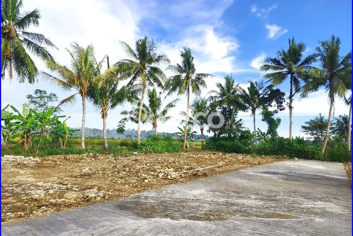 For Sale Rumah 2 Kamar Lokasi Ideal Nyaman dan Strategis di Pengasih For Sale Rumah 2 Kamar Lokasi Ideal Nyaman dan Strategis di Pengasih