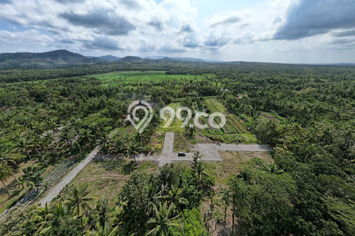 Lahan Dijual Lokasi Strategis di Kulon Progo dengan Luas 105m2 Lahan Dijual Lokasi Strategis di Kulon Progo dengan Luas 105m2
