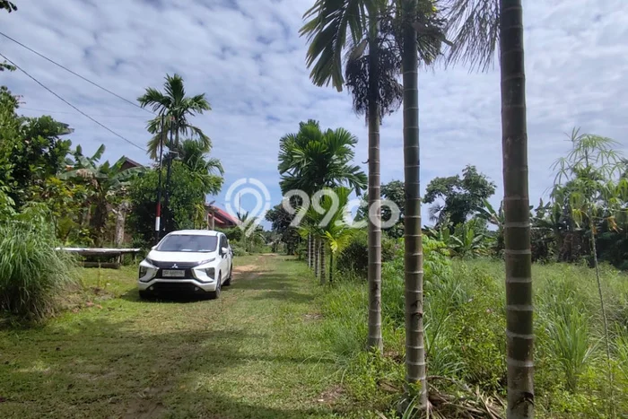 Kavling Tanah Dijual di Jambi Timur Jambi Spesifikasi 302m2 Kavling Tanah Dijual di Jambi Timur Jambi Spesifikasi 302m2