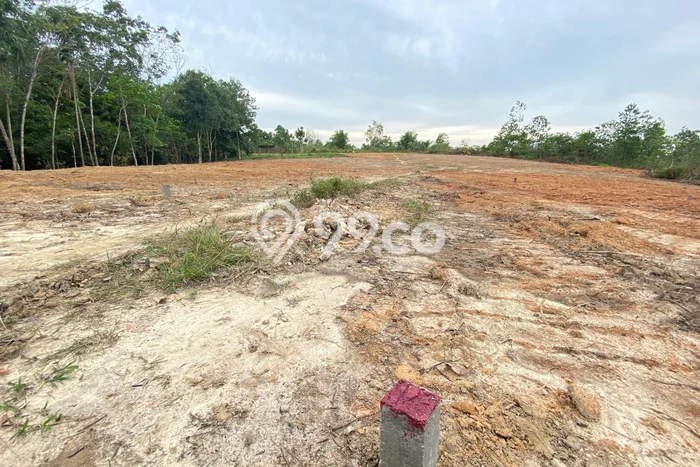 Kavling Tanah Dijual di Jambi Selatan Jambi Spesifikasi 100m2 Kavling Tanah Dijual di Jambi Selatan Jambi Spesifikasi 100m2