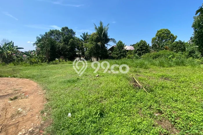 Tanah Dijual Lokasi Kota Baru, Jambi Luas 152m2 Legalitas Aman Tanah Dijual Lokasi Kota Baru, Jambi Luas 152m2 Legalitas Aman