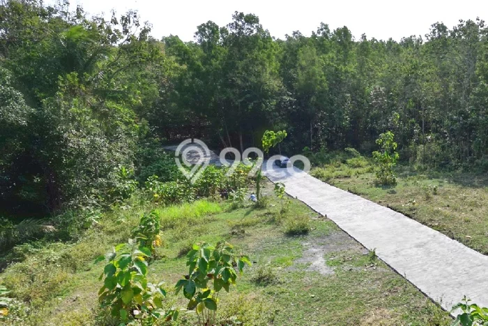 Dijual Rumah Murah di Panjatan Kulon Progo Harga Rp 391 Juta LT 50m2 Dijual Rumah Murah di Panjatan Kulon Progo Harga Rp 391 Juta LT 50m2
