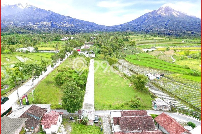 Tanah Investasi Dijual di Magelang Punya Luas 162m2 Tanah Investasi Dijual di Magelang Punya Luas 162m2