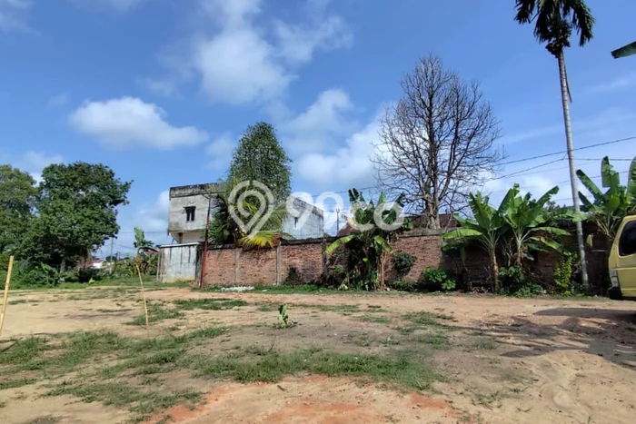 Lahan Investasi Lokasi Jambi Selatan Jambi SHM Lahan Investasi Lokasi Jambi Selatan Jambi SHM