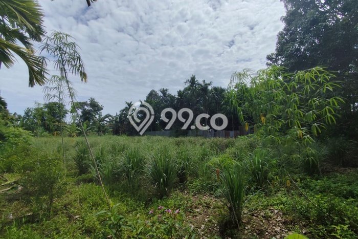 Jual Rumah Murah Meriah Jambi Timur Punya 3 KT & LT 100m2 Jual Rumah Murah Meriah Jambi Timur Punya 3 KT & LT 100m2