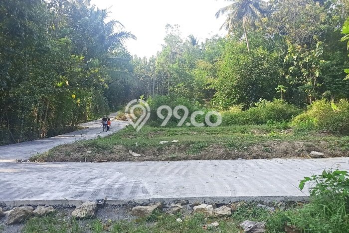 Tanah di Panjatan, Luas 192m², Dekat Jalan Raya, Area Prospektif Tanah di Panjatan, Luas 192m², Dekat Jalan Raya, Area Prospektif