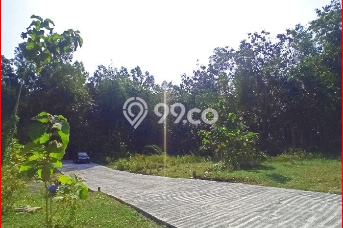 Tanah Bisnis Kawasan Panjatan, Luas 95m², Akses Mudah Tanah Bisnis Kawasan Panjatan, Luas 95m², Akses Mudah