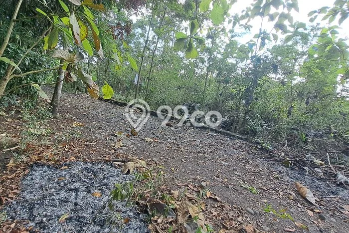 Tanah untuk Dijual Lokasi Bantul, Bantul Luas 159m2 - Tanah untuk Dijual Lokasi Bantul, Bantul Luas 159m2 -