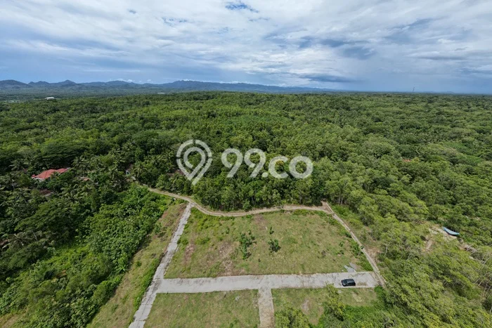 Tanah Kavling Dijual di Kulonprogo, Yogyakarta dengan Luas Tanah 1026m2 Tanah Kavling Dijual di Kulonprogo, Yogyakarta dengan Luas Tanah 1026m2
