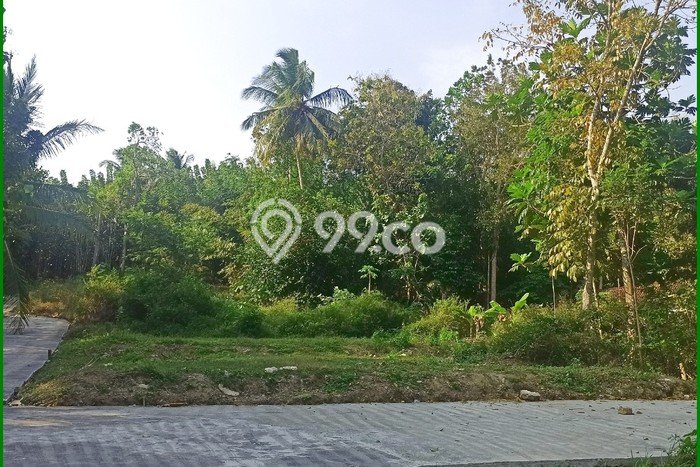 Tanah Area Prospektif Kawasan Panjatan, Luas 192m², Akses ke Pusat Kota Tanah Area Prospektif Kawasan Panjatan, Luas 192m², Akses ke Pusat Kota