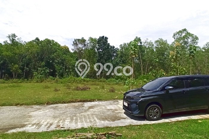 HOT DEAL! Jual Rumah Premium area Panjatan, Kulon Progo, Luas Tanah 182m² Luas Bangunan 65m² HOT DEAL! Jual Rumah Premium area Panjatan, Kulon Progo, Luas Tanah 182m² Luas Bangunan 65m²