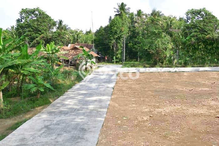 SPECIAL OFFER! Tersedia KPR Rumah Minimalis lokasi Purworejo, Purworejo, Luas 145m² Bangunan 50m² SPECIAL OFFER! Tersedia KPR Rumah Minimalis lokasi Purworejo, Purworejo, Luas 145m² Bangunan 50m²