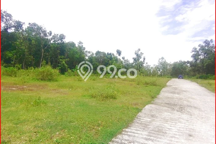 HARGA MENARIK! Tanah di Panjatan, Luas 138m², Area Asri HARGA MENARIK! Tanah di Panjatan, Luas 138m², Area Asri