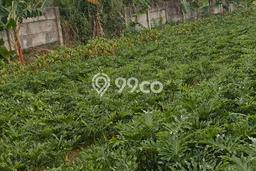 Kavling Tanah untuk Dijual di Tanah Sareal, Bogor, Luas 500m2 Kavling Tanah untuk Dijual di Tanah Sareal, Bogor, Luas 500m2