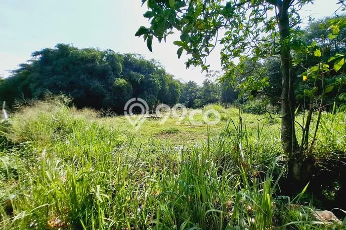 Lahan Kosong Dijual di Bogor dengan Area 3380m2 Lahan Kosong Dijual di Bogor dengan Area 3380m2