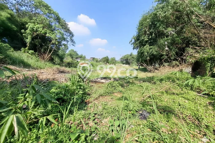 Lahan Kosong Dijual di Bogor dengan Area 3380m2 Lahan Kosong Dijual di Bogor dengan Area 3380m2