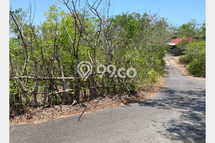 Tanah Area Prospektif di Nusa Dua, Luas 5000m², Dekat ke Pusat Kota, Lingkungan Asri Tanah Area Prospektif di Nusa Dua, Luas 5000m², Dekat ke Pusat Kota, Lingkungan Asri