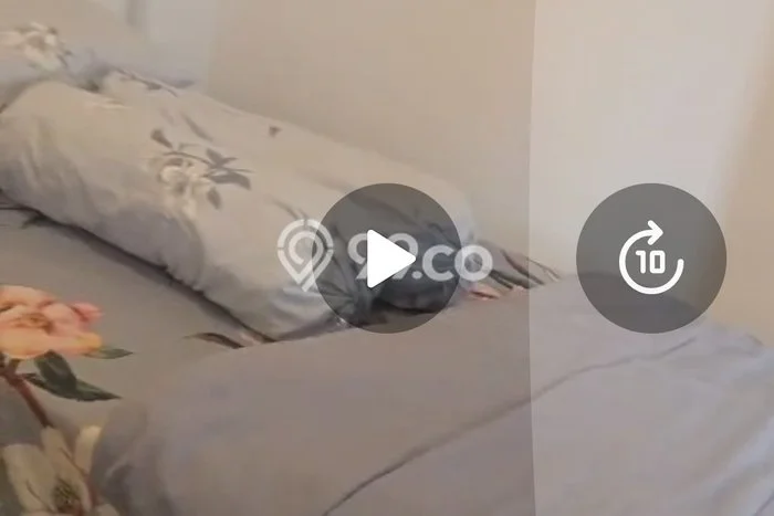 Disewakan Apartemen Ekonomis 0 BR di Teluk Naga Tangerang Disewakan Apartemen Ekonomis 0 BR di Teluk Naga Tangerang