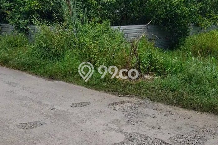 Lahan Investasi Lokasi Tarub Tegal SHM Lahan Investasi Lokasi Tarub Tegal SHM