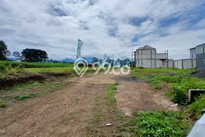 Untuk Dijual Tanah di Pakis Malang Luas 60m2 SHM Untuk Dijual Tanah di Pakis Malang Luas 60m2 SHM