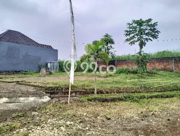 Tanah Kawasan Blimbing, Luas 60m2m², Akses Mudah, Area Prospektif Tanah Kawasan Blimbing, Luas 60m2m², Akses Mudah, Area Prospektif