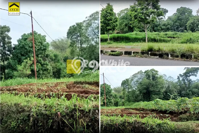 Kavling Tanah di Cilimus Dijual Luas 894m2 Legalitas SHM Kavling Tanah di Cilimus Dijual Luas 894m2 Legalitas SHM