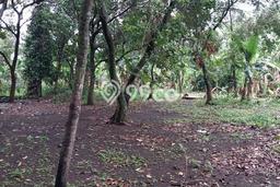 Dijual Tanah 1710m2 di Cibubur, Jakarta Timur Dijual Tanah 1710m2 di Cibubur, Jakarta Timur