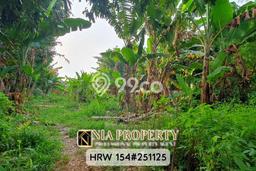 Tanah Kavling Dijual di Jakarta Timur dengan Spesifikasi 1234m2 Tanah Kavling Dijual di Jakarta Timur dengan Spesifikasi 1234m2