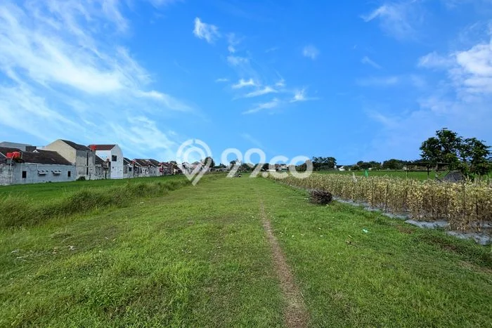 Tanah Dijual Lokasi Mlati Sleman SHM Tanah Dijual Lokasi Mlati Sleman SHM