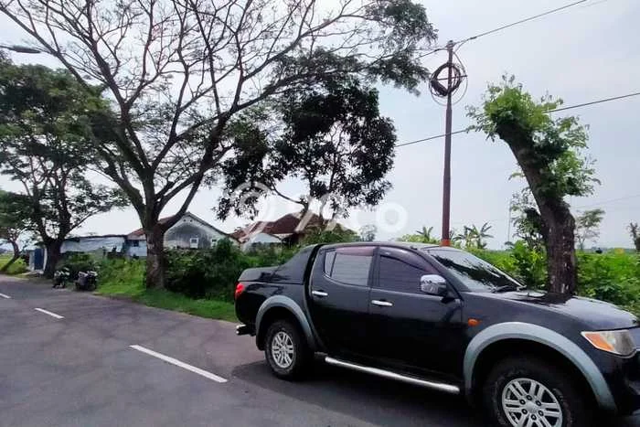 Tanah Kavling untuk Dijual di Blimbingsari Banyuwangi 4070m2 Tanah Kavling untuk Dijual di Blimbingsari Banyuwangi 4070m2