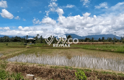 Tanah Strategis Dijual di Licin Banyuwangi 9000m2 Tanah Strategis Dijual di Licin Banyuwangi 9000m2