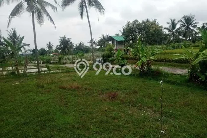 Kavling Tanah Dijual di Glagah, Banyuwangi, Luas 400m2 Area Strategis Kavling Tanah Dijual di Glagah, Banyuwangi, Luas 400m2 Area Strategis