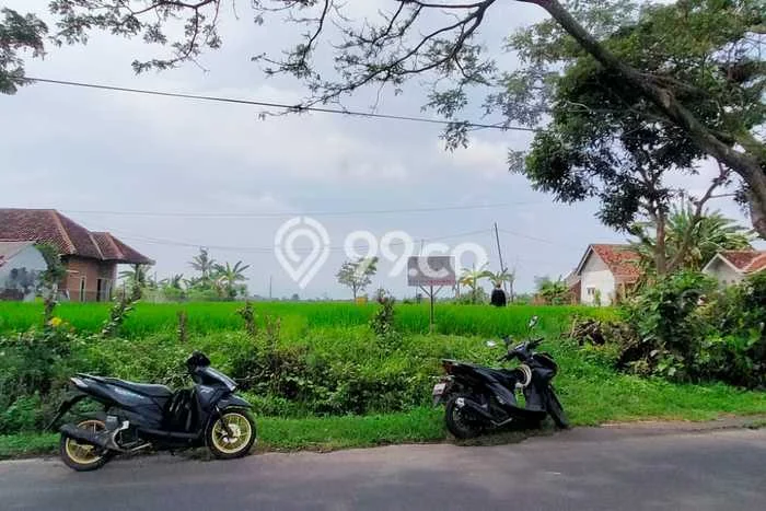 Tanah Kavling untuk Dijual di Blimbingsari Banyuwangi 4070m2 Tanah Kavling untuk Dijual di Blimbingsari Banyuwangi 4070m2