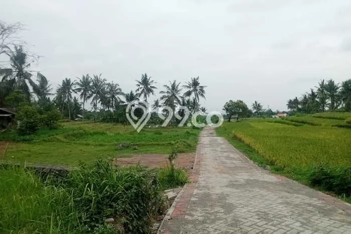 Kavling Tanah Dijual di Glagah, Banyuwangi, Luas 400m2 Area Strategis Kavling Tanah Dijual di Glagah, Banyuwangi, Luas 400m2 Area Strategis